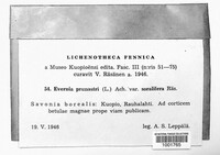 Image Associated With the Occurence